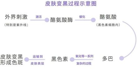 揭秘酶的世界，最新发现带你探索神奇之旅！