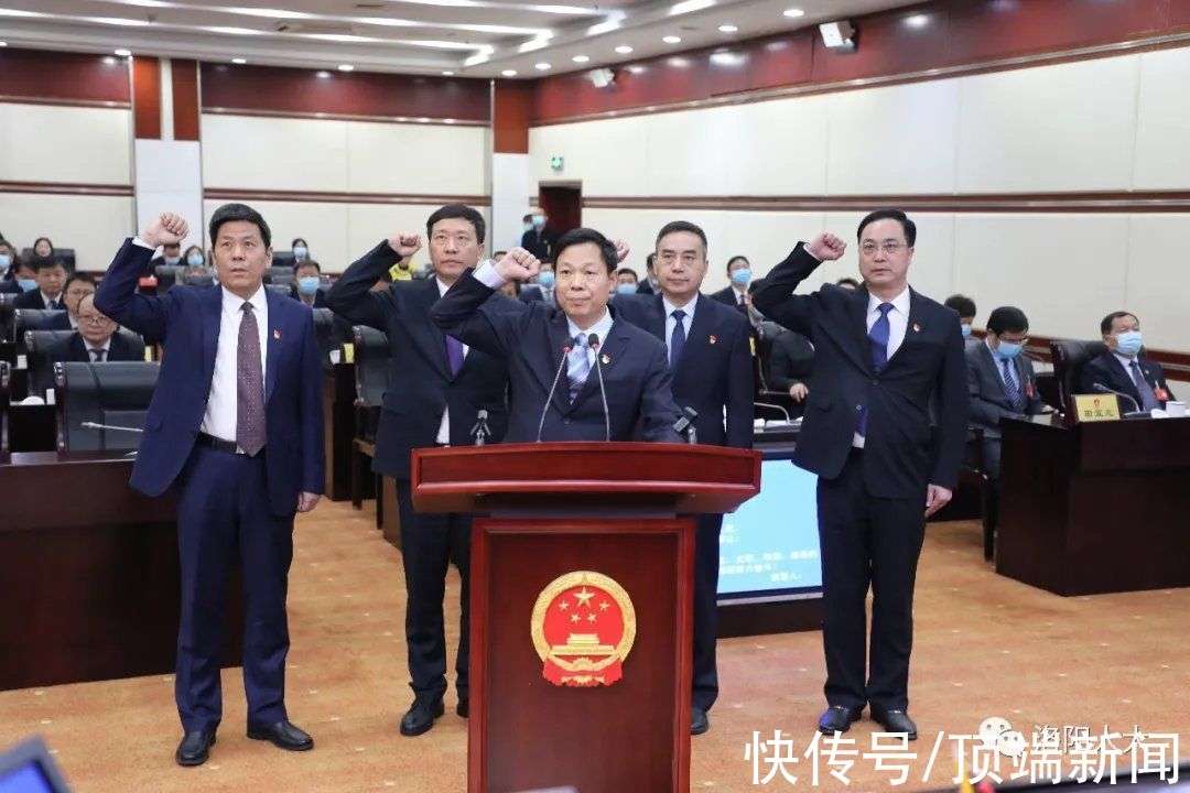 洛阳副市长名单最新解读与分析