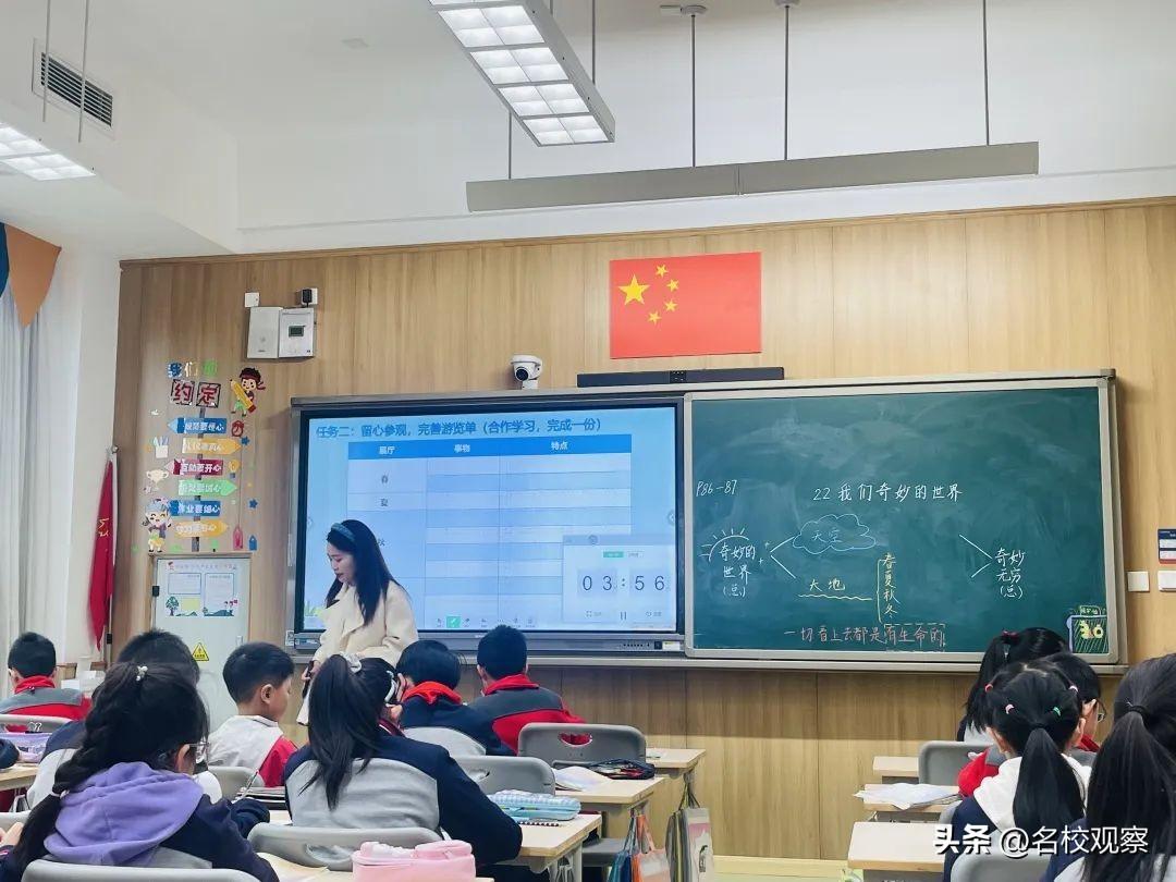 最新数学课标的奇妙探索之旅