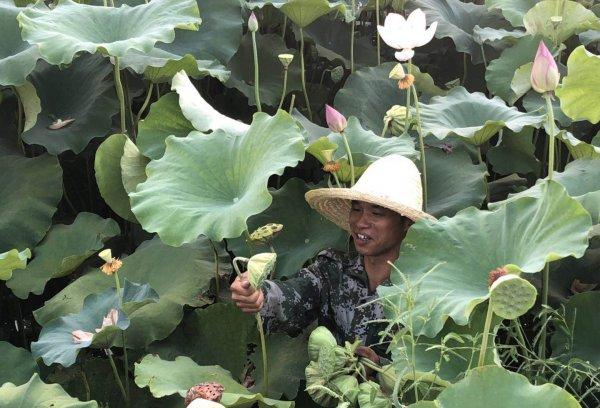 湘潭花石最新规划与邻里间的温馨日常故事