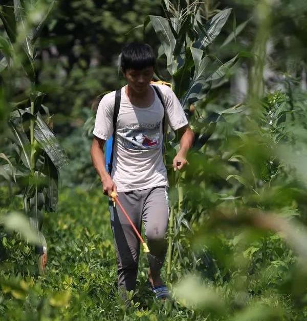 哈尔滨伙食饭阿姨的励志之路，从厨房走向梦想之路