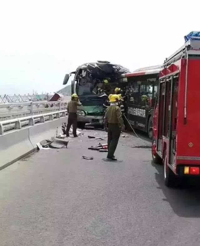 种植露地辣椒 第5页