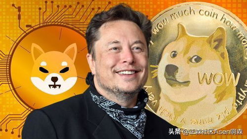 Doge币行情下的心灵探索，自然美景与内心宁静的追寻