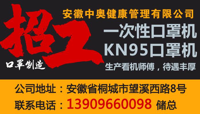 桐城招聘网最新招聘,桐城招聘网最新招聘，小巷中的隐藏宝藏，等你来探索！