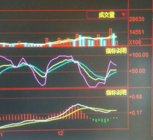 雷曼股份股票行情，时代印记与市场的波动