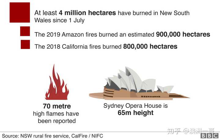 悉尼大火蔓延，城市面临严峻挑战最新局势