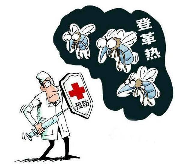 🔥死亡媒介最新动态概览