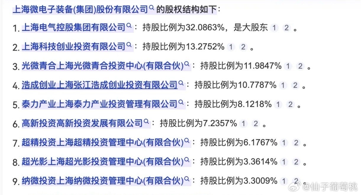 马信琪最新持股情况深度分析，多元投资的视角