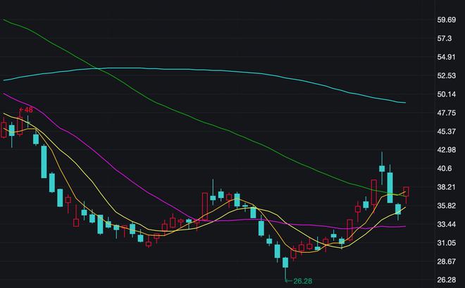 太平洋股票行情，科技引领新时代的投资机遇