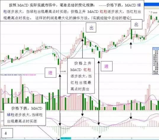 股票交易公司，学习、变革与自信的成长之旅