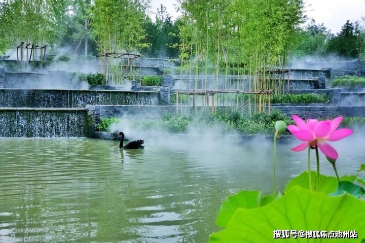 中国国玺最新动态揭秘