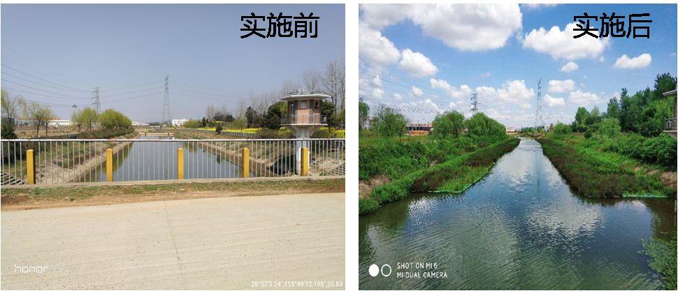 最新奇迹游戏发布平台，变化中的学习之旅，自信与成就感的源泉