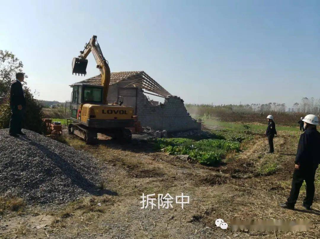 违建拆除最新进展动态报告