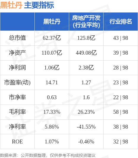 黑牡丹股票行情深度分析与展望