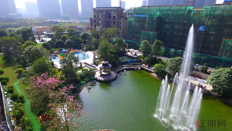 南宁恒大华庭最新房价揭秘，巷弄深处的惊喜房源邂逅之旅