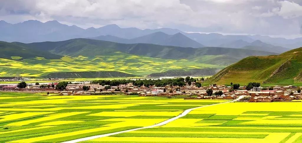 河南面粉厂出租最新探索之旅，自然美景与产业融合的发展之旅