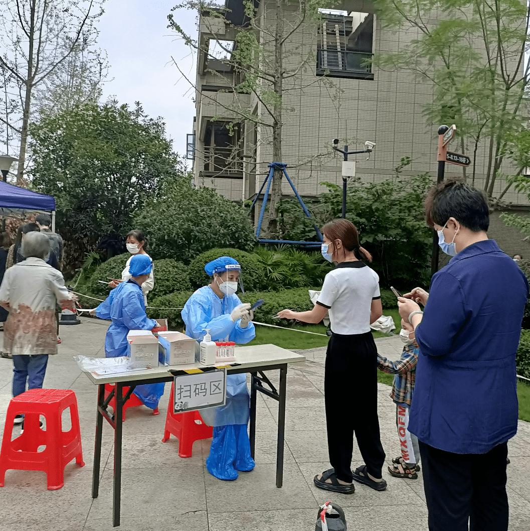 临潼红杉郡，自然美景探索之旅，心灵宁静的最新体验