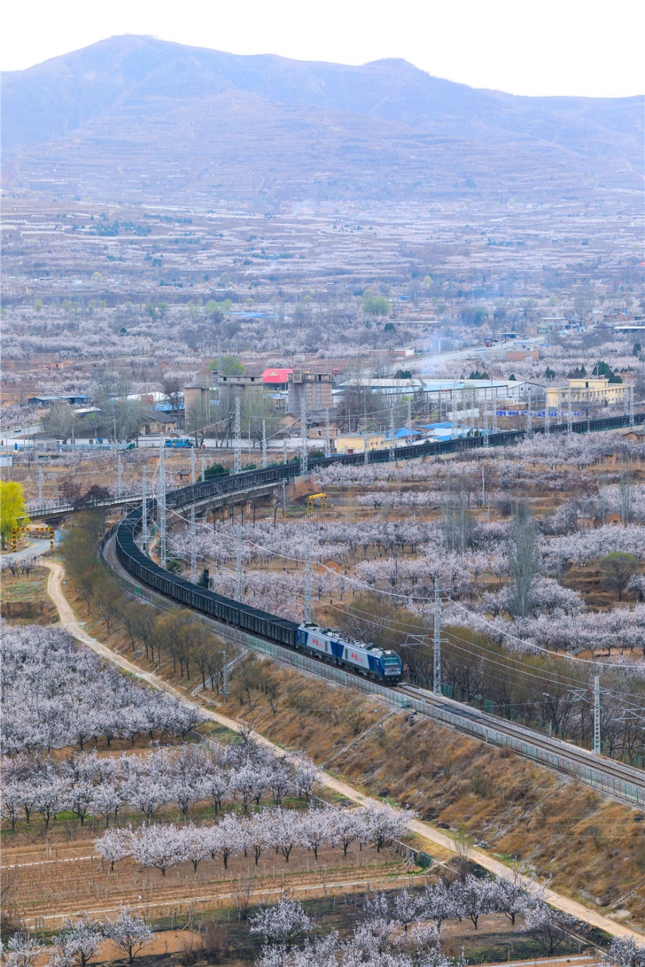 寿平铁路最新动态，启程探寻自然美景的旅行之道