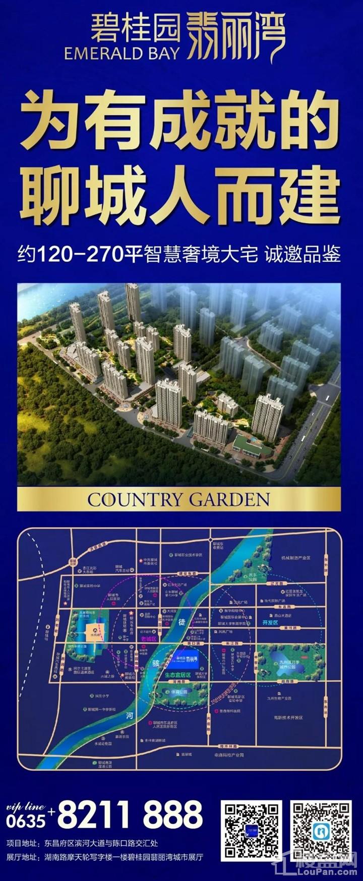 淄博碧桂园最新动态概览，最新消息指南