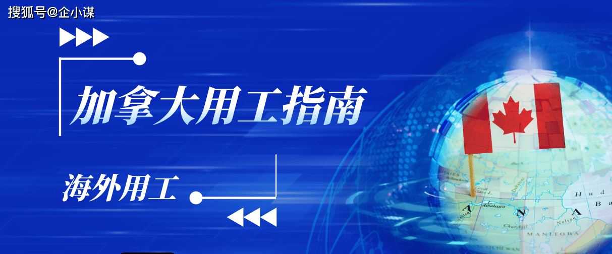 加拿大务工最新动态及其观点分析，影响与趋势探讨