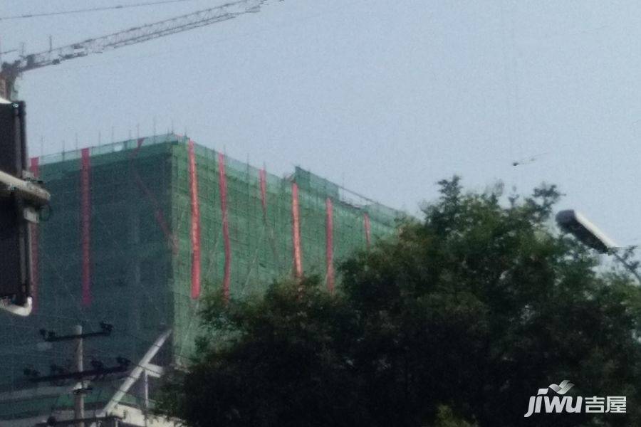 保定绿荫里最新动态，学习之光照亮成长之路
