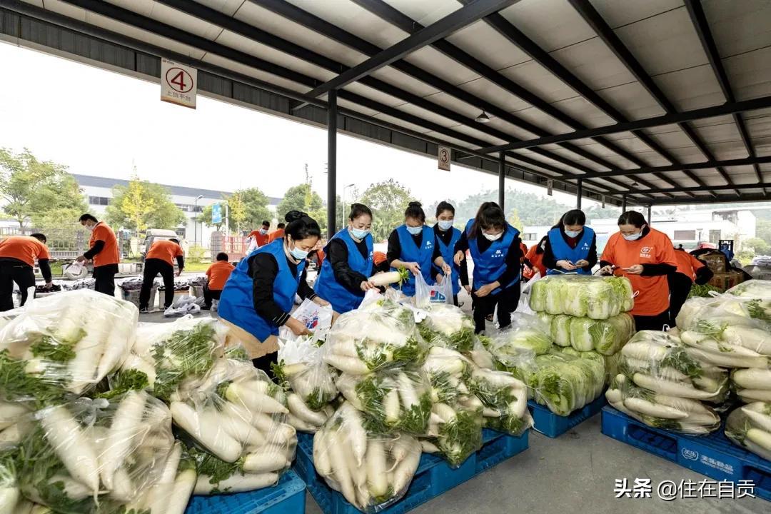 远达锦绣半岛最新动态，全面观点分析