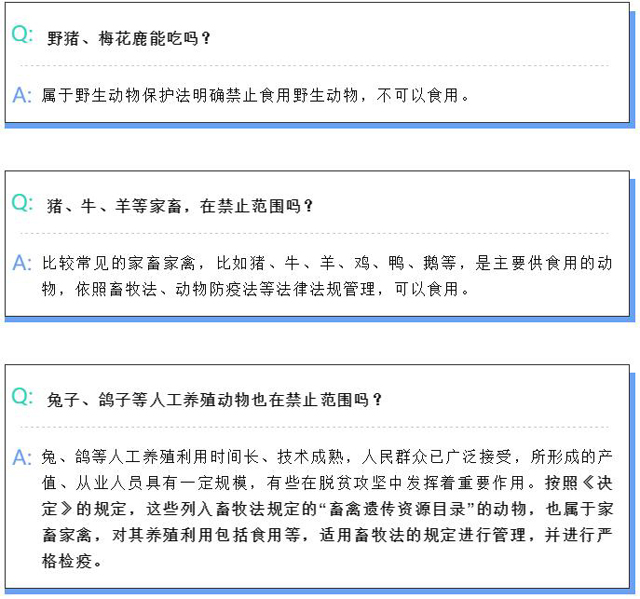 禁养禁食最新趋势，深度解析原因与影响，全面解读最新动态